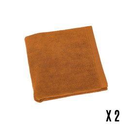 SERVIETTE EPONGE AMBRE - LOT DE 2