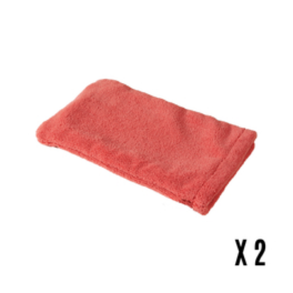 GANT EPONGE CORAIL - LOT DE 2