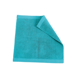 NORDIQUE EPONGE TURQUOISE