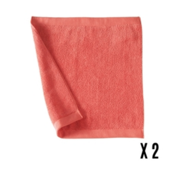 NORDIQUE EPONGE CORAIL - LOT DE 2